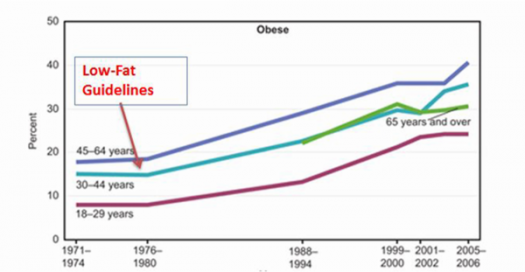 fatchart1