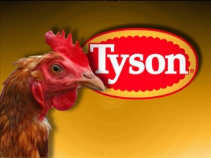 tyson_chick3