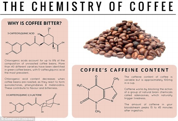 Feeling bitter: Chlorogenic acids make coffee taste bitter and account for up to eight per cent of unroasted coffee beans. Its content decreases when they are roasted