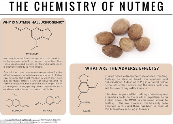 The spice rack psychedelic: Nutmeg has been used as a hallucinogen since the 16th century. Myristicin makes up around one per cent of raw nutmeg and leads to the effect because of the breakdown of the compound in the liver into MMDA, a drug of the amphetamine class and a known psychedelic