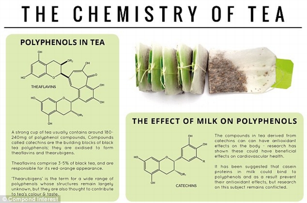 The benefits of a cuppa: A strong cup of tea contains some 180mg to 240mg of polyphenol compounds, which are shown to have beneficial effects on cardiovascular health