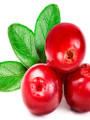 cranberry