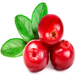 cranberry