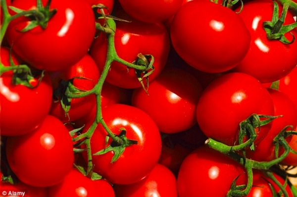 vine_tomatoes