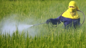 Pesticide_Reuters