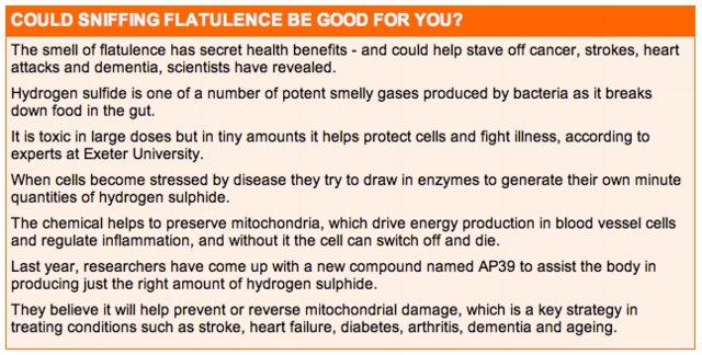 flatulence