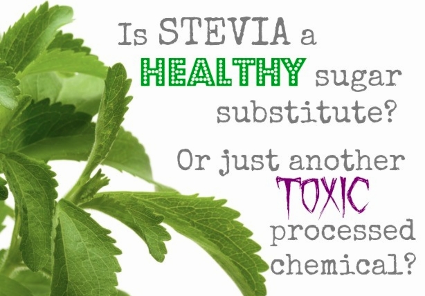 stevia_02