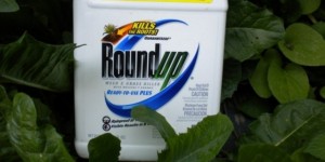 Roundup