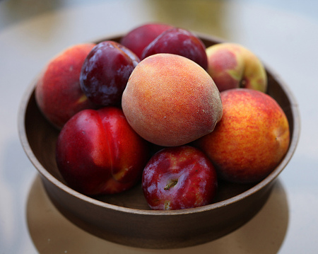 peaches-plums-necatrines-pluots-sm