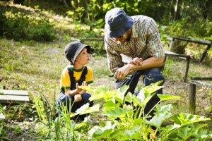 Father teaching his son gardening