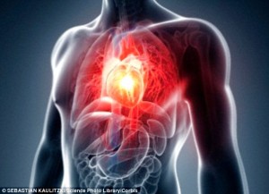 Erectile dysfunction is closely linked to cardiovascular risk factors. The association occurs because of endothelial cell dysfunction and impaired production of nitrous oxide, researchers said