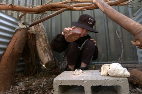 An unidentified child plays at North Fremantle Primary School in a nature playground, which has free-range chickens and natural play areas.