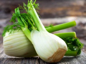 fennel