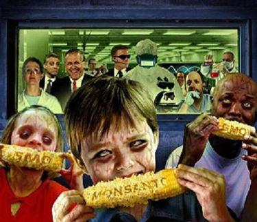 Monsantos-Genetically-Modified-Foods