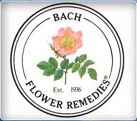 bach_flower