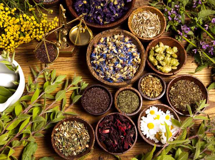 11 Herbs And Spices That Help Fight Cancer Dr Kelleys Victory Over Cancer
